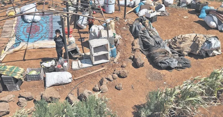 Dürzi katliamına İsrail’den destek