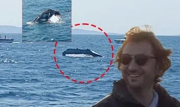 SON DAKİKA… Graywolf isimli teknesi ile Marmara Denizi’nde kaybolmuştu! Halit Yukay hala bulunamadı: Dikkat çeken tanker detayı! #balikesir