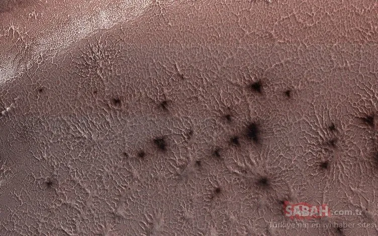 Mars örümcekleri uzaylı tartışmalarına neden oldu!