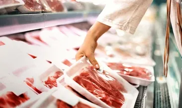 Hayvansal protein yerine geçen besinler