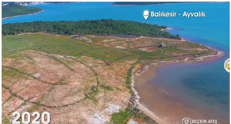 OGM paylaştı: Yanan ormanlar küllerinden doğdu! İşte eski ve yeni halleri