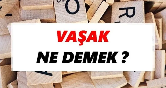 Vaşak Ne Demek? TDK’ya Göre Vaşak Sözlük Anlamı Nedir?