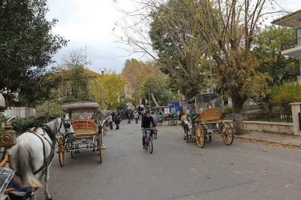 Büyükada'da fayton kazası