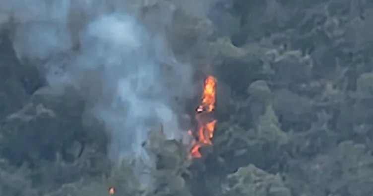 Son dakika: Marmaris’te orman yangını! havadan ve karadan müdahale için sevk edildi.
