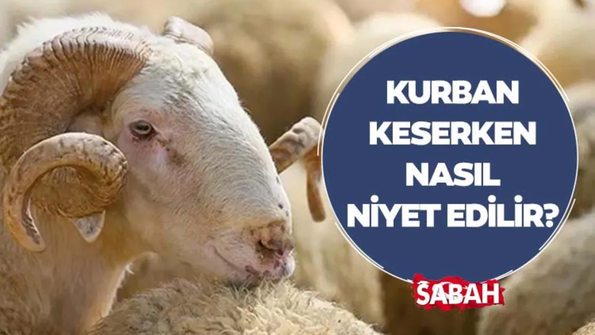 Kurban keserken nasıl niyet edilir, ne söylenir? Diyanet’e göre kurban keserken niyet etmenin hükmü Kurban keserken nasıl niyet edilir, ne söylenir? Diyanet’e göre kurban keserken niyet etmenin hükmü