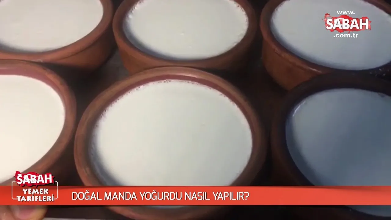 Dogal Manda Yogurdu Nasil Yapilir Videosunu Izle Son Dakika Haberleri