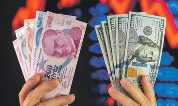 Mevduatta doların payı 6 yılın dibinde