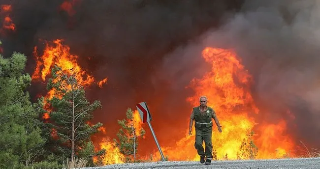 Muğla'da devam eden yangınlarda son dakika: Kara ve havadan yoğun çalışma