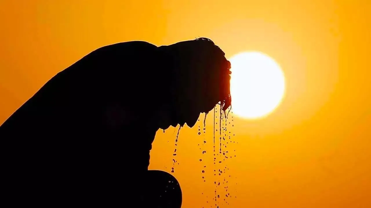 Eyyam-ı Bahur Sıcakları Türkiye’yi Vuracak! Eyyam-ı Bahur Sıcakları Türkiye’yi Vuracak!