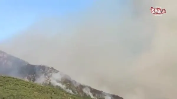 Tarım ve Orman Bakanlığı: Gündoğmuş’ta 3 uçak, 8 helikopterle ormanın kahramanları yangına müdahale ediyor.