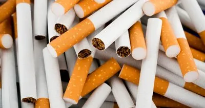 Sigara, yılda 6 milyon kişiyi öldürüyor!