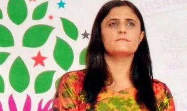 Gara’dan Mahmur’a özel araçla dolaşmış!