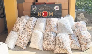 3 milyon makaron ele geçirildi