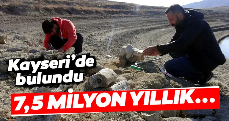 Kayseri’de bulundu! Tam 7,5 milyon yıllık...