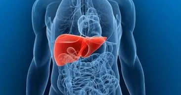 Akciğerlerinizde oluşan o sorunu ortadan kaldırıyor!