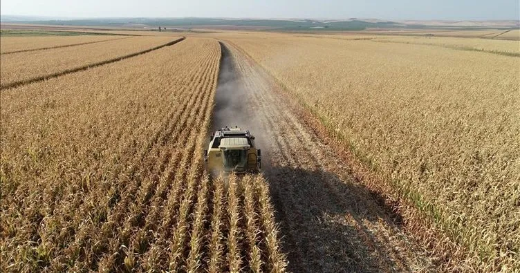 Tarım ÜFE açıklandı