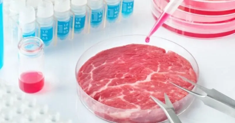 son dakika soke eden yapay et gercegi insan eti kanser son dakika haberler