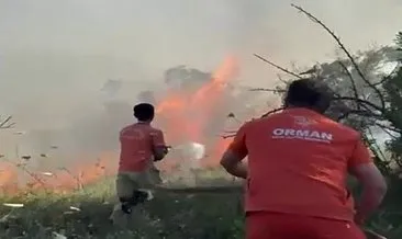 Sakarya'da ağaçlık alanda çıkan yangın söndürüldü #sakarya