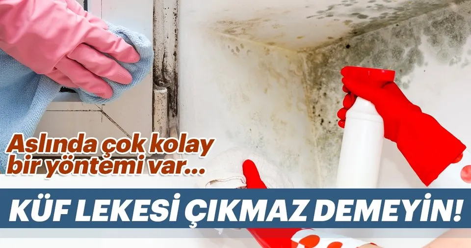 Kuf Lekesi En Kolay Nasil Cikar Kadin Haberleri