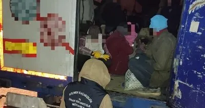 Bitlis'te tır dorsesinde 133 kaçak göçmen yakalandı #bitlis