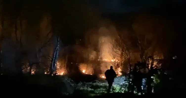 Bursa’da ormanlık alanda korkutan yangın