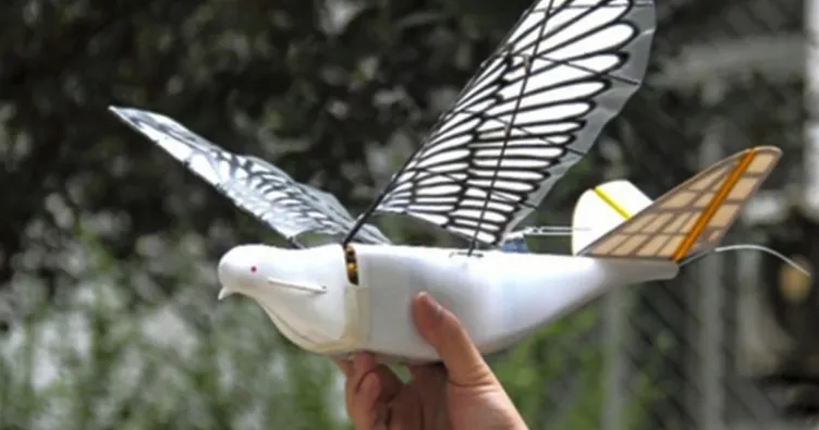 Yeni nesil robot kuşlar göreve başladı