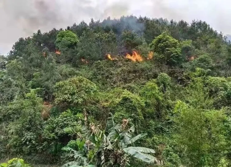 132 kişiye mezar olmuştu: Ölüm dalışı! Kokpitte kim vardı?