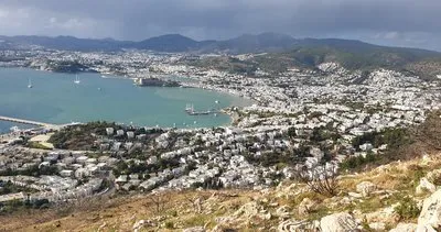 Bodrum’da yanan ağaçlar sürgün verdi