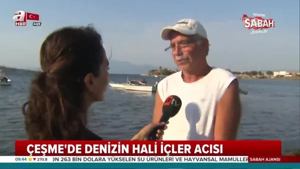 İzmir Çeşme'de takipçi sayısı az olanları işletmelerine almayan plajlara tepki!