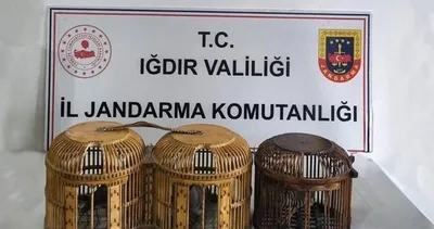 Iğdır'da kaçak keklik avcılarına 72 bin 829 lira ceza uygulandı #igdir