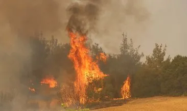 İzmir Seferihisar yangını 3’ncü, Akhisar yangın 4'üncü gününde... #izmir