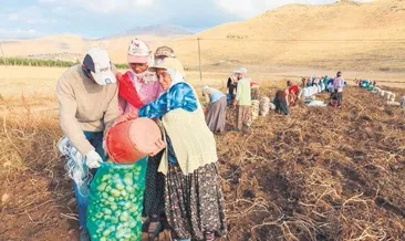 TARGİB ucuz gıdanın yolunu açacak