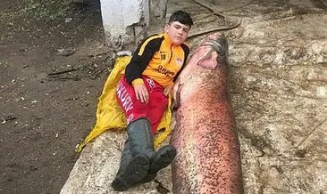 Edirne’de 109 kiloluk yayın balığı yakalandı