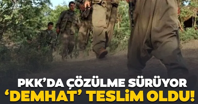 Son dakika haberi: PKK’da çözülme devam ediyor! ’Demhat’ teslim oldu!