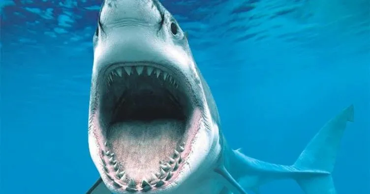 Genç kadının ölümünde köpekbalığı şüphesi