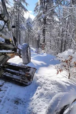 Orman Müdürlüğü yoğun kar altında nakliyatlara devam ediyor