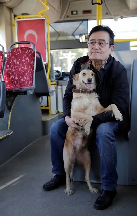 Üşüdüğü için otobüse binen köpek 1,5 saat gezdi