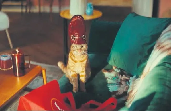 kediler-reklam-yildizi-olursa-1788016636509.jpeg