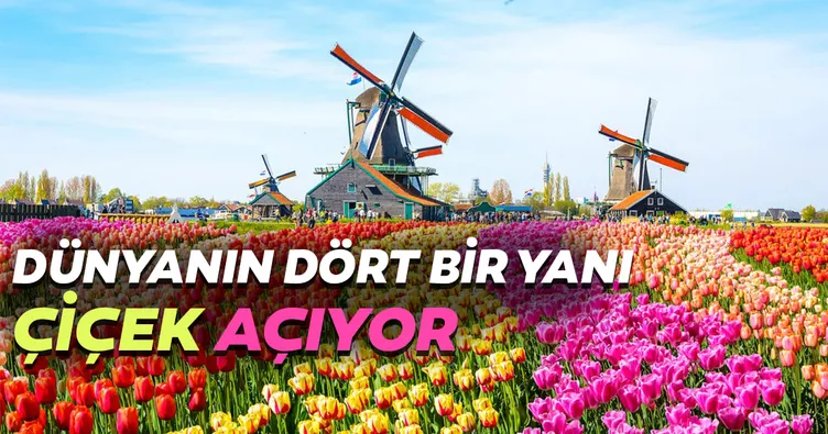 Dünyanın dört bir yanı çiçek açıyor