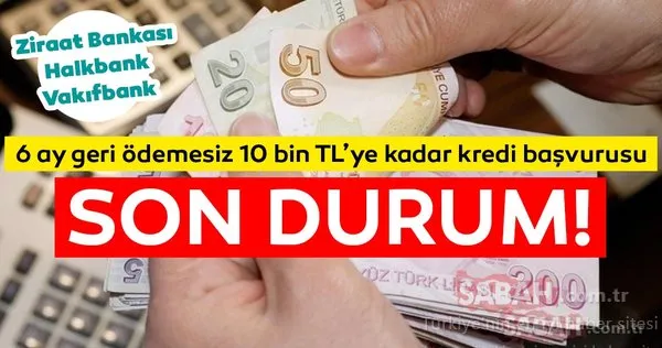 Bireysel Temel Ihtiyac Destek Kredi Basvurusu Nasil Yapilir Sonuclari Ne Zaman Aciklanacak 6 Ay Geri Odemesiz Ve Ertelemeli 10 Bin Tl Kredi Basvuru Sartlari Neler Galeri Ekonomi