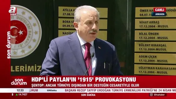 TBMM Başkanı Şentop'tan HDP'li Paylan'ın 1915 provokasyonuna tepki: 
