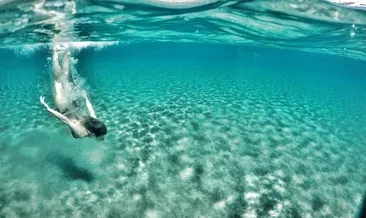 O zaman yaz tatili başlasın!