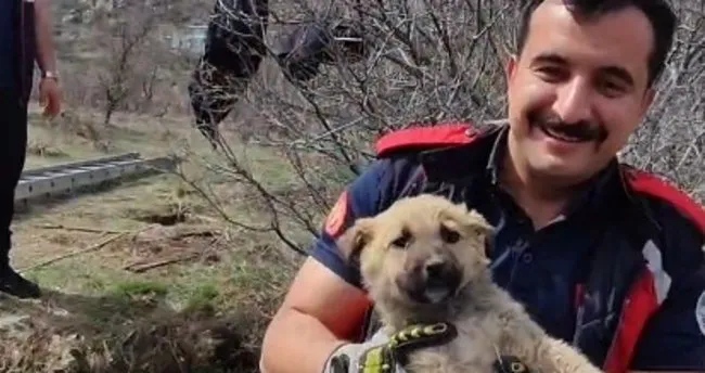 Kuyuya düşen minik köpeğin imdadına itfaiye yetişti
