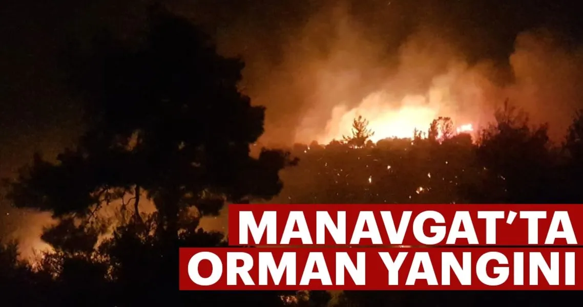 Manavgat Ta Orman Yangini Son Dakika Haberler