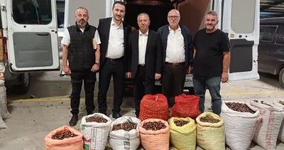 AK Parti Düzce İl Başkanı Şengüloğlu: Düzce Kestanesi marka haline Geldi #duzce