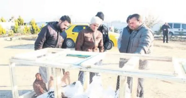 İcralık kuşlara yüzde 20 indirim