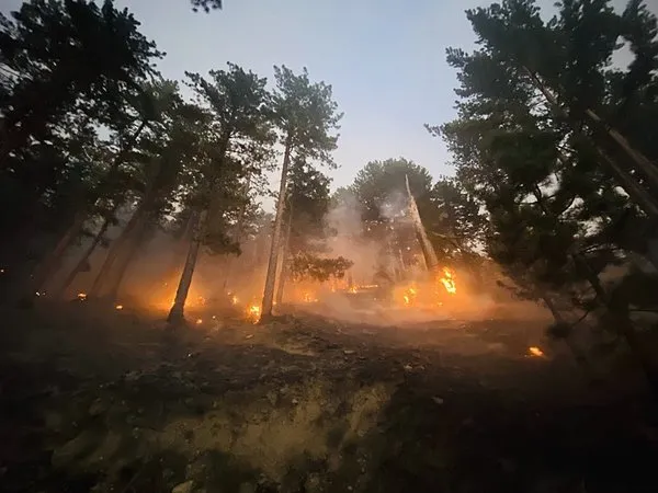 son-dakika-orman-yanginlarinda-son-durum-bakan-yumakli-acikladi-6-ilde-7-yangin-kontrol-altinda-1753519500927.jpg son dakika orman yanginlarinda son durum bakan yumakli acikladi 6 ilde 7 yangin kontrol altinda 1753519500927