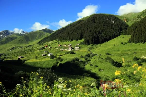 O bölgede dev turizm merkezi oluşturuluyor! 11 yeni 'Ayder' bulundu!