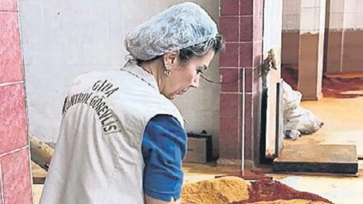 İsota domates posası sumağa havuç posası