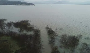 İzmir’de barajlar doldu, yüzler güldü